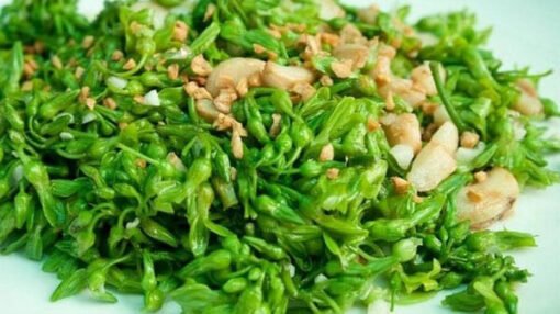 Hoa thiên lý xào tỏi